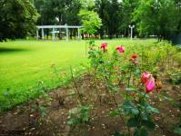 Imagine atasata: Parcul Central - 2019.08.03 - 54.jpg